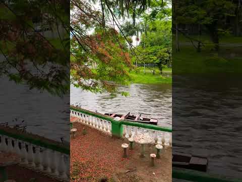 Pelos caminhos de Morretes no Paraná #travel #vidanômade #vlogdeviagem