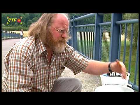 RTF.1-Sommerthemenwoche Natur: Gewässer in der Region