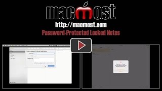 Password-Protected Locked Notes (#1189)