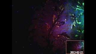 Saga Karlsson Trying to recall marie lindberg