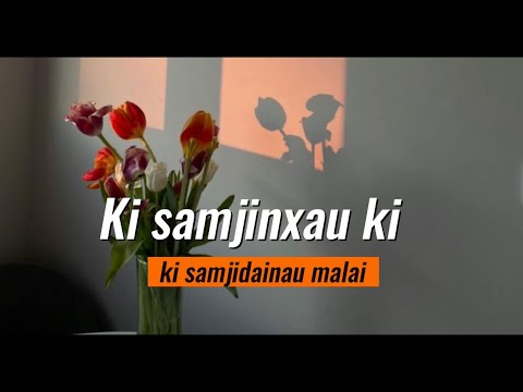 BAIGUNI -Kehar limbu (samjinxau ki, ki samjidainau malai || TikTok version