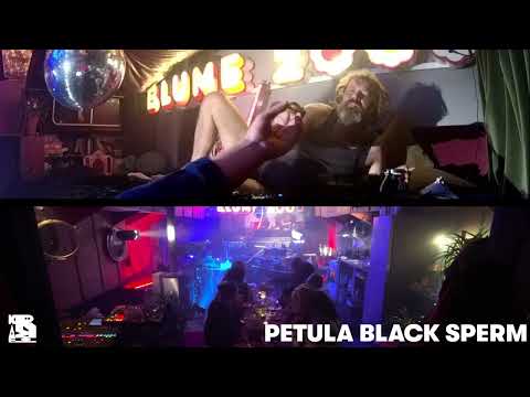 [KRAKE FESTIVAL 2021] - Petula Black Sperm - Urban Boat Vs. Milk Me