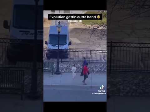 Dogs in 2023 🤣🤣💯 #lmao #funny