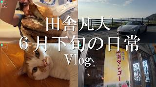 【Vlog】いなかぼん、６月下旬の日常Vlog