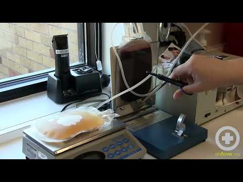 Processing a Canine Blood Donation