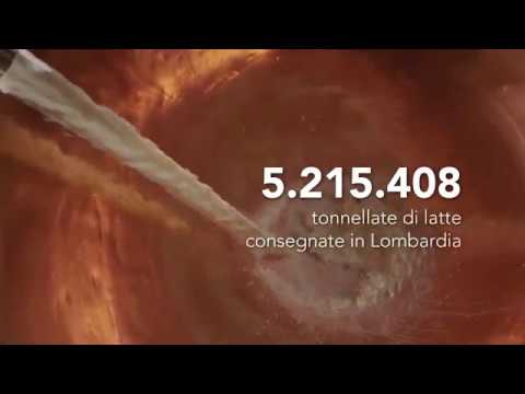 Lombardia terra dei formaggi