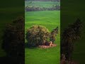 Punjai Undu Najai Undu Tamilsong Song