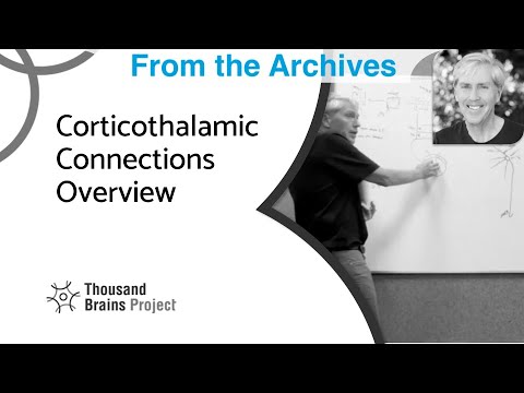 2024/07 - Minicolumns, References Frames and Models