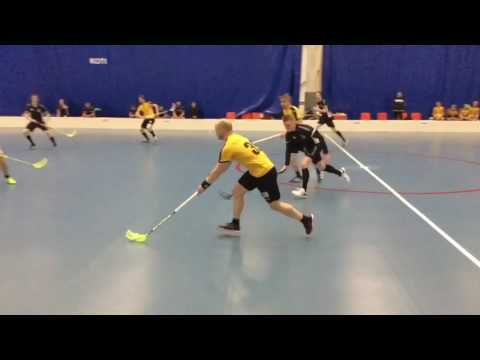 SSRA - Hirvarit kooste 4.2.2017