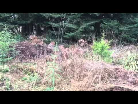 Wikispeed demo March 20 2015 Lynnwood, WA food forest