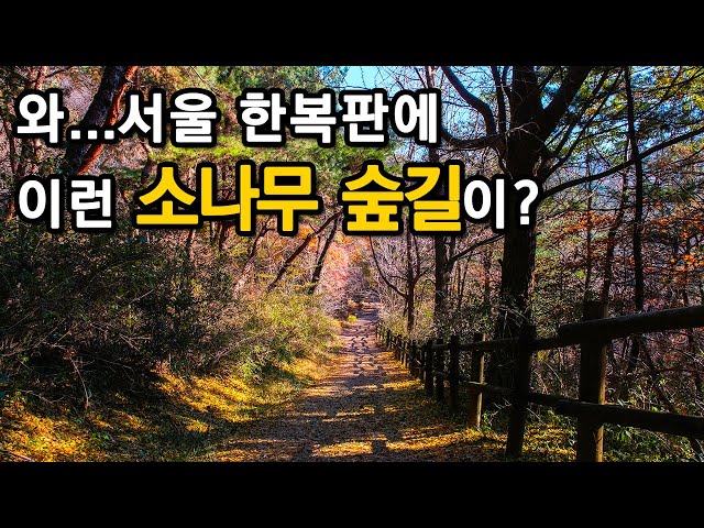inbot seo 0.1ver