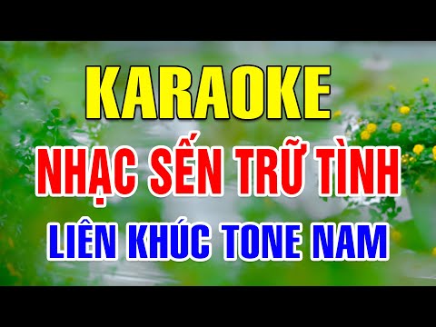 Karaoke Liên Khúc Nhạc Sến Trữ Tình Tone Nam | Bài Ca Kỷ Niệm | Hàn Mặc Tử