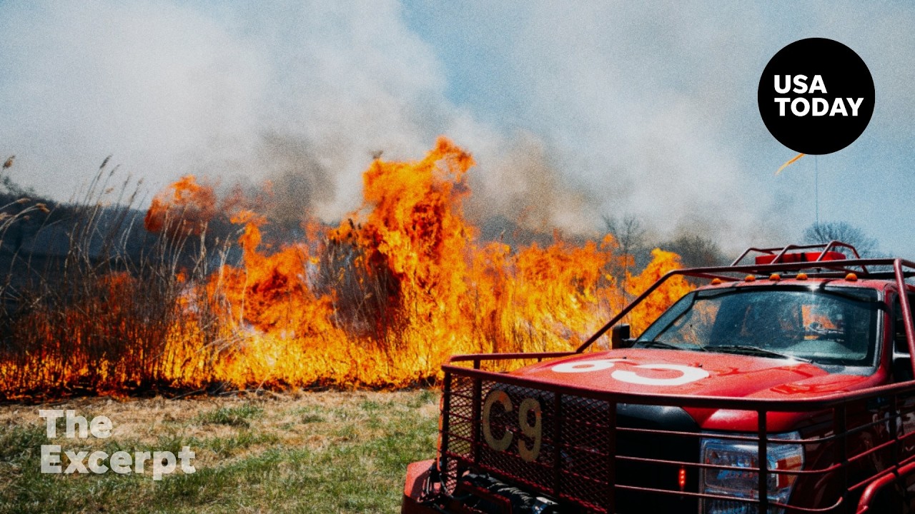Wildfire season is already off to a dangerous start | The Excerpt