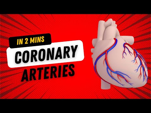 Coronary Arteries - in 2mins