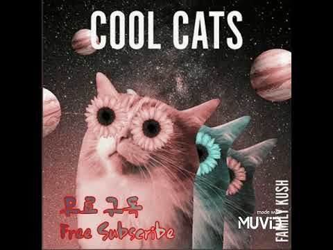 Cool Cats  Album By Family Kush    @art @artlist @man @artlist man