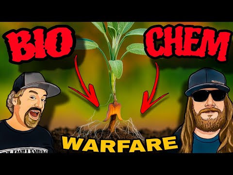 Not a Microbe, But a Miracle: The Additive Your Garden Needs