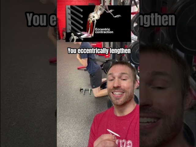 Assisted Nordic Curl video thumbnail