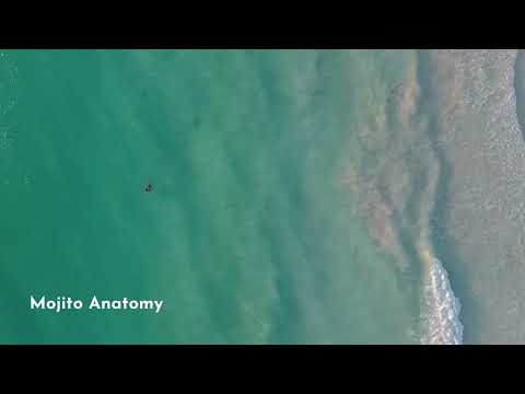 INCARMA - Mojito Anatomy