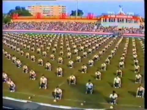 1000 летие города Лубны 1988 г