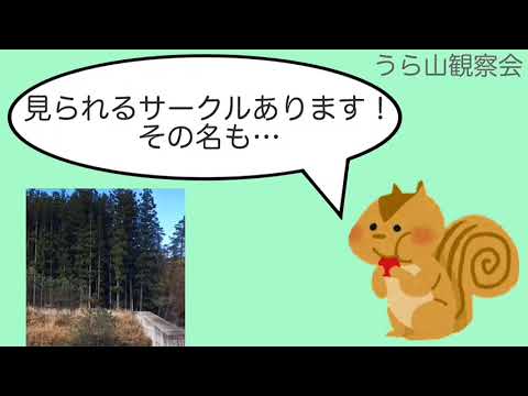 うら山観察会　新入生歓迎動画2023