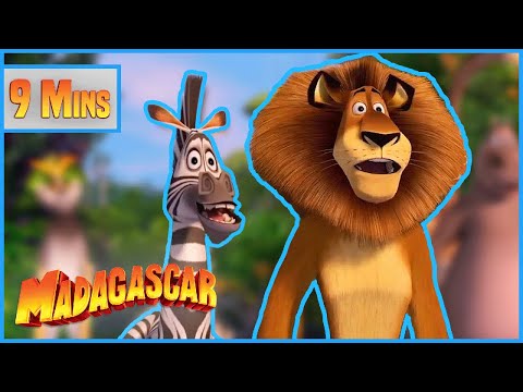 Alex and Marty's Bromance 🦁🦓 | Madagascar | Mini Moments