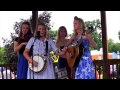 Kentucky Bluebells - Mule Skinner