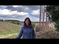 Vogelsanger live quot on the road quot Bodegas