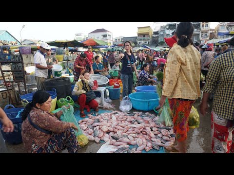 Chhbar Ampov Fish Market Scene - Many Fresh Dry Fish, Alive Fish, Seafood & More Food Here