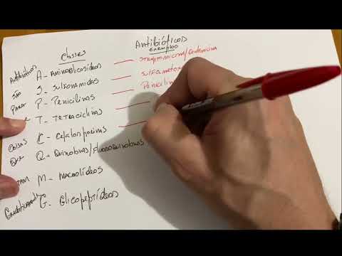 Antibióticos - 8 classes- Exemplos e Mecanismo de ação . Instagram : @martins_london