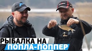 Уда для ловля карася на спиннинговая