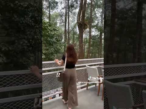 rekomendasi cafe di tawangmangu #tawangmangu