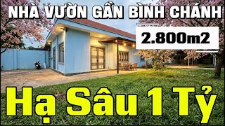 Download lagu Episode 351: Owner in Desperation Reduces Price by 1 Billion VND | Long An Garden House 2,800m2 w... mp3