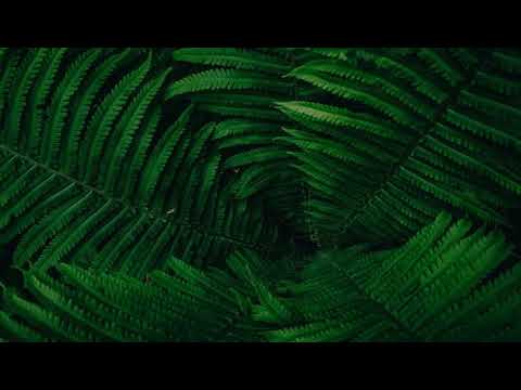 BENOS | JACKY (Remix Zouk) 2018