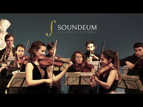 W.A. Mozart - Sinfonia Concertante in Es-Dur 2. Satz Ausschnitt - Soundeum Chamber Ensemble