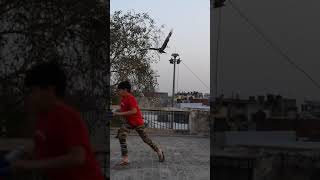 A big eagle attacks a kid || बड़ी चील का बच्चे पर हमला || big hawk ||Black kite ||🏃🦅 #shorts #short