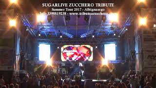 ZUCCHERO FORNACIARI TRIBUTE BAND video preview