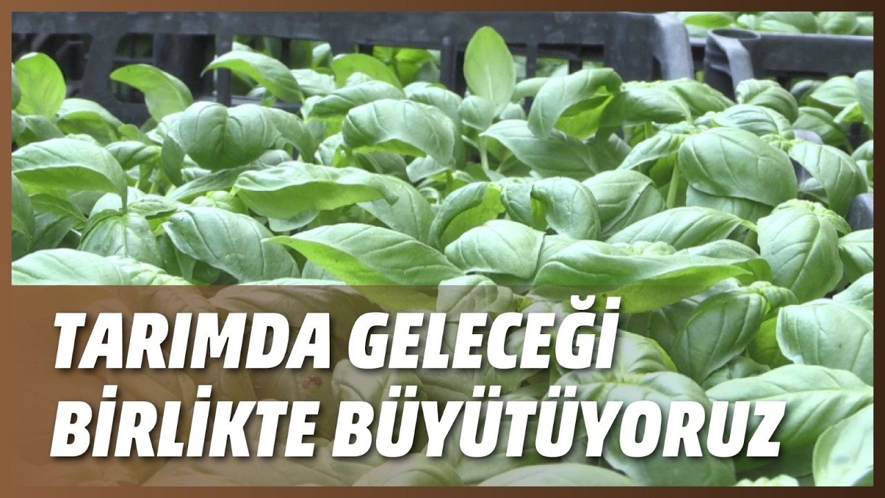 TARIMDA GELECEĞİ BİRLİKTE BÜYÜTÜYORUZ