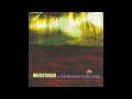 Buckethead-A Real Diamond in the Rough-A Real ...