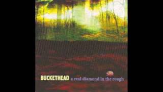 Buckethead-A Real Diamond in the Rough-A Real Diamond in the Rough