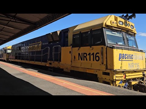 7XM4 PN Steelie/Intermodal (NR116, NR7 & NR65), Spencer Jnc to Melbourne, 1055, 23/2/25, Horsham VIC