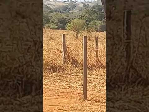 Santa Rosa de Goiás