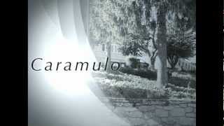 preview picture of video 'Caramulo, Tondela'
