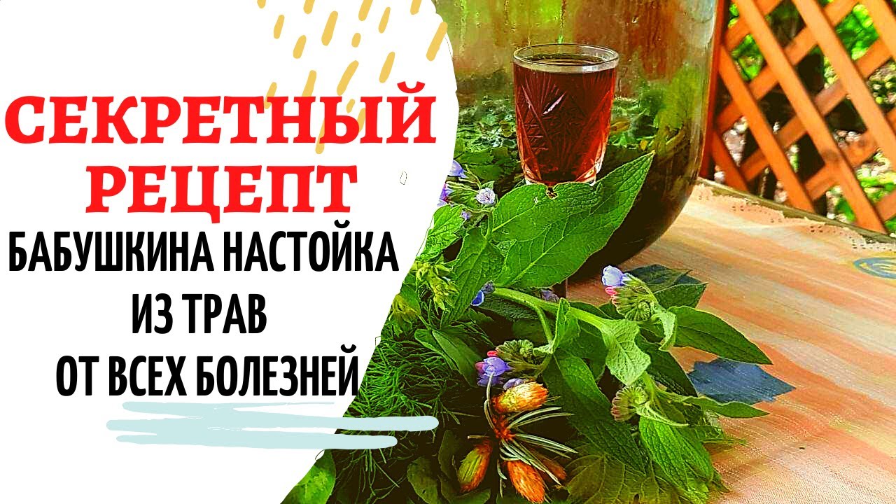 Настойка из трав что растут под ногами. Чудесный бальзам своими руками.