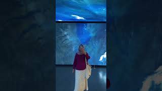 Download lagu Hyundai Studio mp3