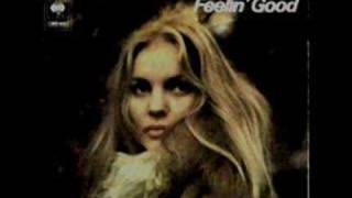 Chi Coltrane - The Wheel of Life