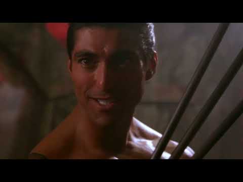 Street Fighter - Ryu & Ken VS Sagat & Vega