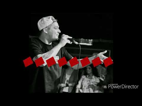 Lupii feat. Karie - Alerg ( VERSURI )