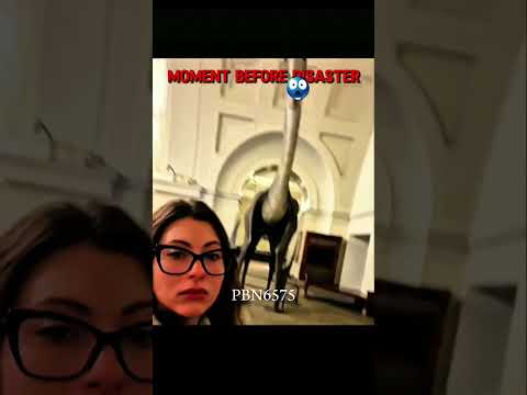 [Moment Before Aura|Quetzalcoatlus Museum] #edit#funk#phonk#dinosaur#shorts