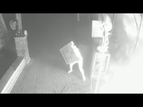 Polícia de Des Plaines prende mulher em conexão com incêndio no Santuário de Nossa Senhora de Guadalupe