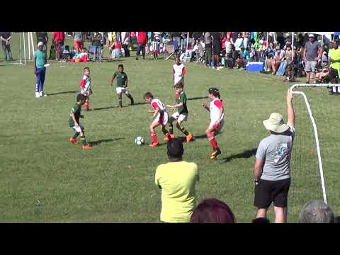 Great goal Stella fc juniors!